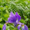 하늘 달 이야기 이미지