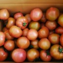 한라봉브로콜리 이미지