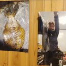 제주토끼 이미지