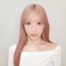 코요이 이미지