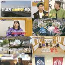 세모집 스포츠경향