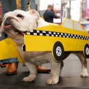 한마음동물병원 이미지