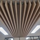 금동초등학교 이미지