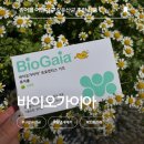 본바이오 | 구강유산균 추천 어린이입냄새 바이오가이아 직접 먹어본 후기