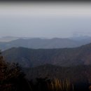 내고향서천 이미지