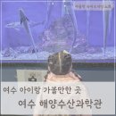 항대경로당 | 여수 해양수산과학관: 학습, 체험 가능한 여수 아이랑 가볼만한곳