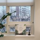 미켈란치과의원 이미지