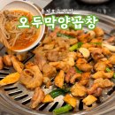 창원 용지호수 맛집 오두막양곱창 대창 막창 맛있는 용호동 룸 예약 회식장소
