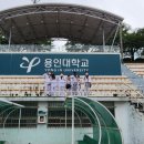 용인대 금호태권도 이미지