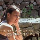 더민박 이미지
