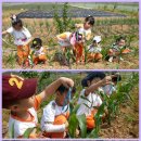 오렌지동화나라유치원 이미지