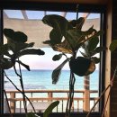 제주도 동쪽여행, 함덕해수욕장 &lt;델문도&gt; 카페 추천 후기 너무 예쁜 카페야🧜🏻‍♀️