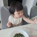 반도정식당 | 세부 막탄 저렴한 현지인 식당, 포장해서 숙소에서 즐기는 로컬의 맛