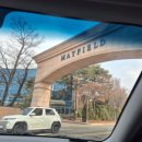 마일목장 | [메이필드 호텔] 아이와 가기 좋은 5성급 가성비 서울 호텔 리모델링 신축 객실 후기