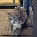 호텔레이지헤븐 이미지