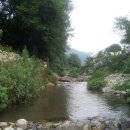 꽃피는부동산중개사무소 이미지