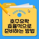 유니센터 국제전형 호주 대학교 장학금 받고 진학하는 현실적인 방법