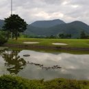 선산수입
