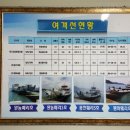 금일도·생일도 네이버블로그