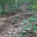 탑선마을 이미지