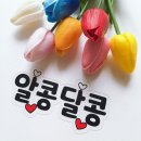 여행과 이벤트, 기념일엔 토퍼? '시흥기념일토퍼'!!