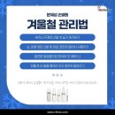 레푸스 정자점 네이버블로그