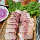 잉꼬가든 | [세종 고기집] 항아리 통삼겹살 잉꼬가든 솔직후기 (주차/반려동물 동반)🔥