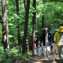 깊은산속 옹달샘 이미지