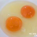 제이팜 | 농라 제이팜 난각1번 계란 후기