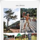 산향기의 속리여행 이미지