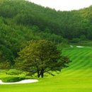 골프존마을 이미지