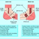 신앤박한의원 이미지