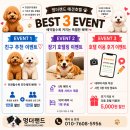 멍더랜드 | 김포애견호텔 여름휴가 예약 시작! 멍더랜드 호텔링 이벤트 안내