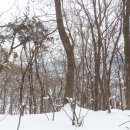 석성산 등산로 이미지