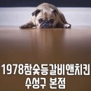 1978참숯치킨앤등갈비 이미지