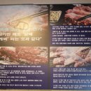 옥길목장 이미지