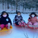 쌍류초등학교 이미지