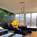 키토 숙소 추천｜Community Hostel Quito 후기 (갈라파고스 짐보관 무료)