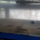 내고향산장 이미지