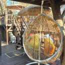 198 | [고모리 카페] 엘블라썸198고모리 방문 후기