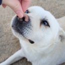 홍승현성형외과의원 이미지