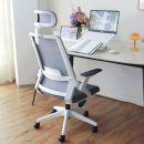 221 | 고등학생 의자 추천 린백 LB221HA 3개월 사용 후기 (+허리 통증 탈출기)