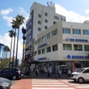 동산프라자약국 이미지