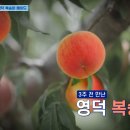 수제홀릭