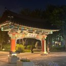 전주 덕진공원 야경 후기_낮에도 밤에도 예쁜 산책코스
