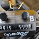 황금낚시 | [선상낚시] 안면도 내포항 황금백호 251010 갑오징어낚시(내돈내산후기)