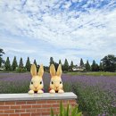 벌등공원 이미지