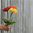 쌓여온 소리 이미지