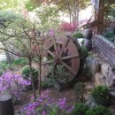 금계삼계탕 이미지