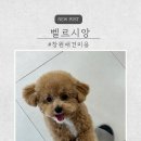 벨르시앙 이미지